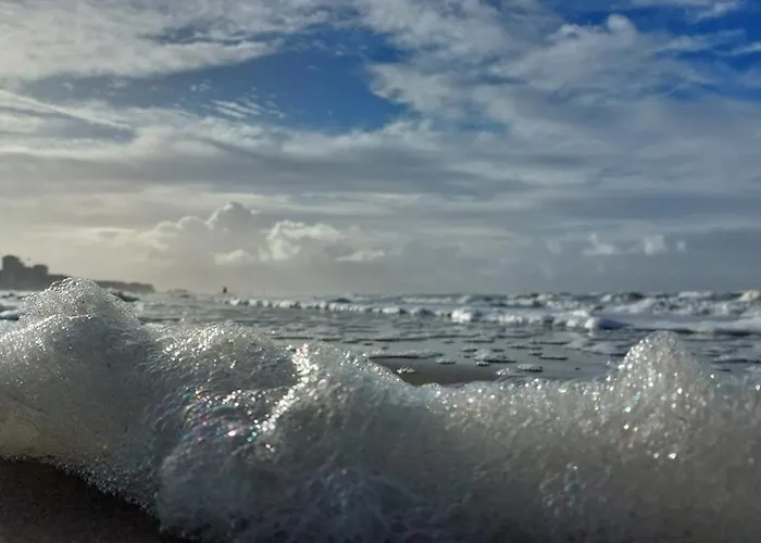 With Seaview Apartment Ostend
